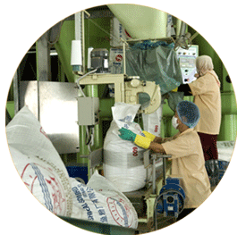 Fishmeal Processing